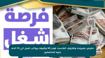 «فرص مميزة» وظائف الفاست فودز 90 وظيفة برواتب تصل إلى 10 آلاف جنيه للحاصلين